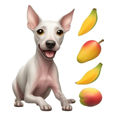American Hairless Terrier eating mango  sticker