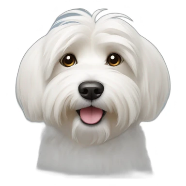 White havanese dog sticker