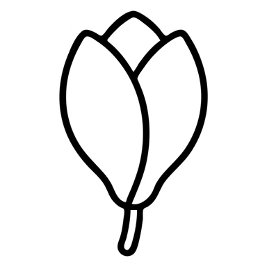 minimalist top-down view of a magnolia flower bud with light pink petals, fully visible against a plain white background, no extra details sticker