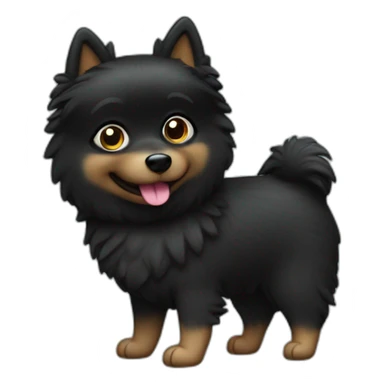 Little black spitz with toy sticker