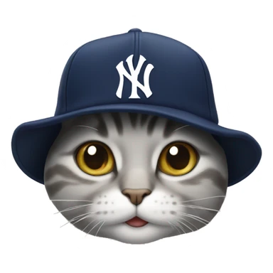 Cat wearing an yankees hat sticker