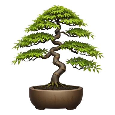 Japanese egg-shaped dark bamboo maple tree bonsai pot sticker