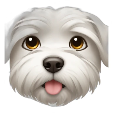 Maltese face falling asleep sticker