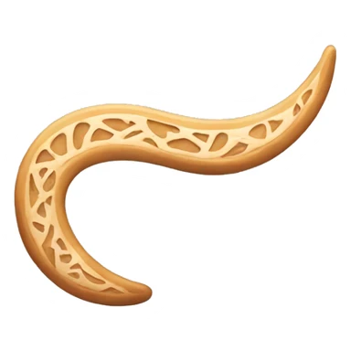 a boomerang with indiacas  sticker