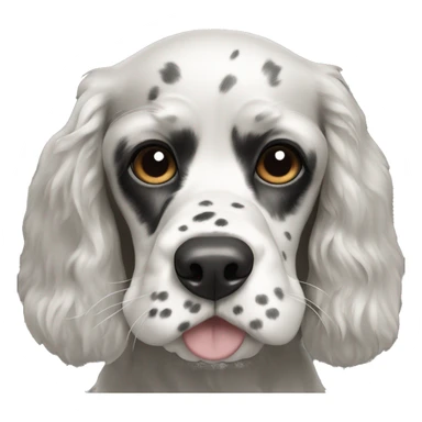 black and white cocker spaniel with nose spots sticker