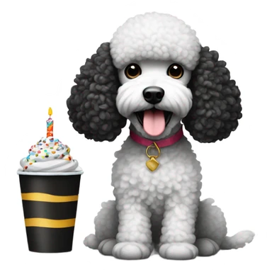 Black and white poodle with birthday cup sticker