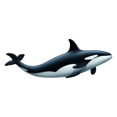 killer whale sticker