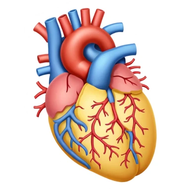 gastrointestinal anatomy sticker