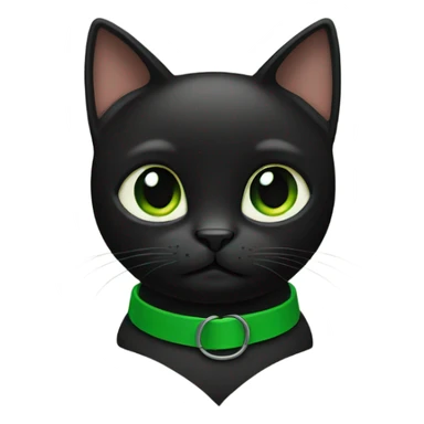 Black cat wearing a green collar sticker