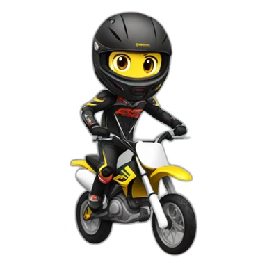 Pitbike sticker