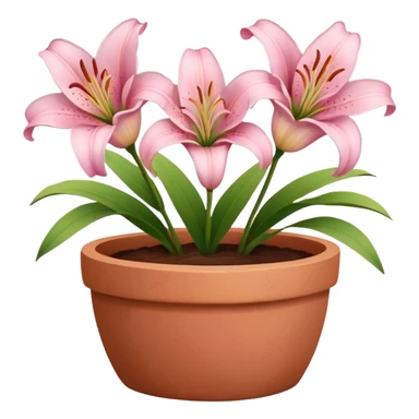 light pink lily flowers in a clay pot sticker