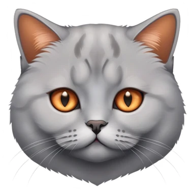 British shorthair silver gradient cat with copper eyes and dense coat sticker