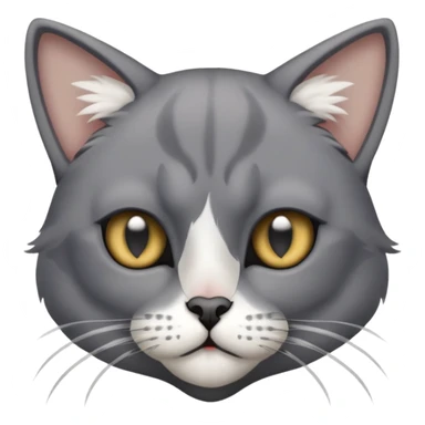 Grey skinny cat with white paws and a pirate eye patch on his right eye sticker