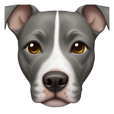 Grey female pitbull with one blue and brown eye sticker