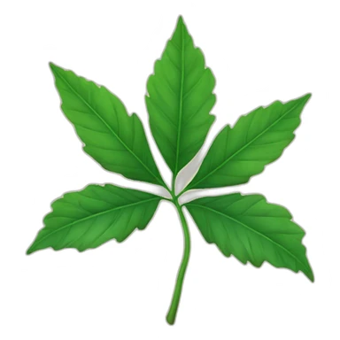 Une feuille d’érable japonais verte sticker