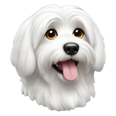 Coton de tulear dog sticker