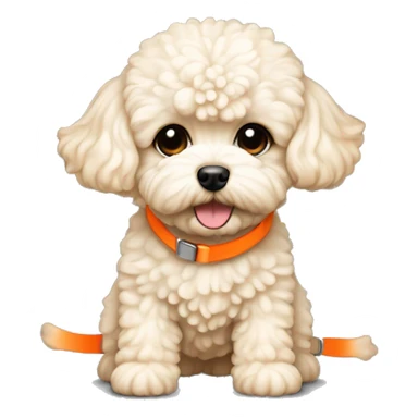 light cream color maltipoo dog with neon orange shoes sticker