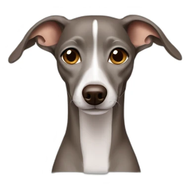 brown grey Italian greyhound emoji sticker