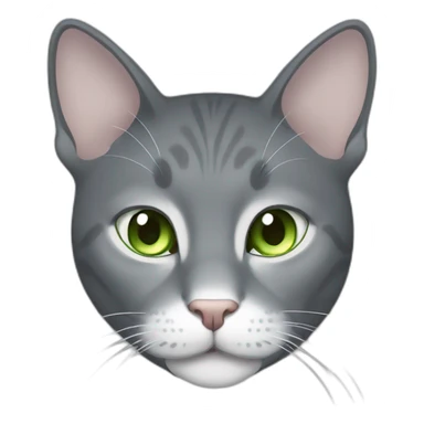 Gray cat with white mouth and white nose and light green eyes sticker