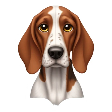 Redtick coonhound with only red and white ticking. No black marks  sticker