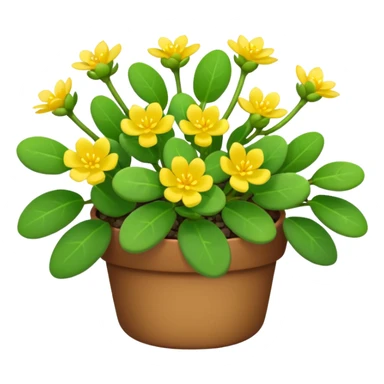 purslane bush plant sticker