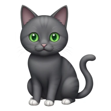 full body gorgeous solid dark grey cat with green eyes, white paws and white whiskers playing sticker