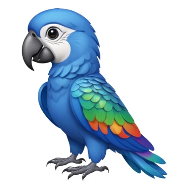 blue parrot from Brazil, rio sticker