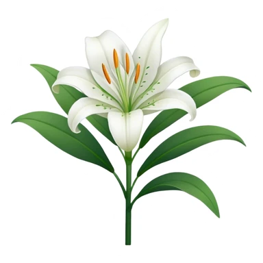 single Snow White Lily, straight stem sticker