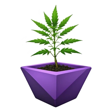  small short black bonsai pot plant purple marijuana with triangular angular faceted asymmetrical originally shaped body  sticker