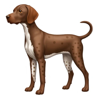 orange spotted german short haired pointer small tail sticker