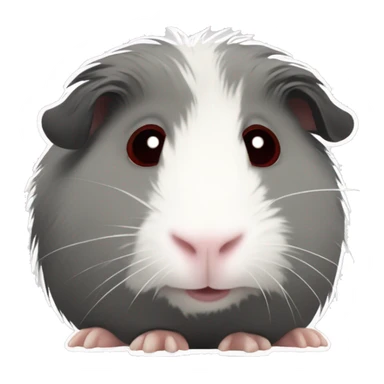 Fuzzy grey Guinea pig with white patches and with dark red eyes  sticker