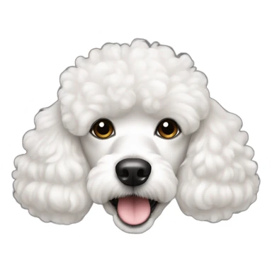 a white coco poodle dog with cute eyes looking at screen sticker