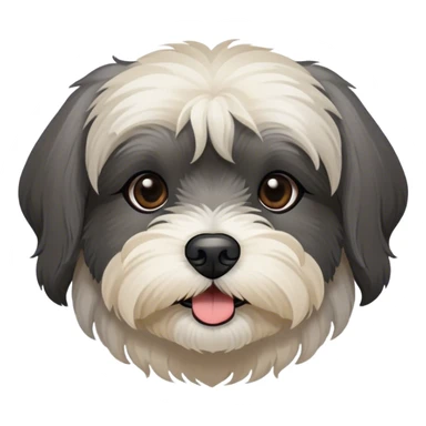 dark gray Havanese dog face BLACK muzzle sticker