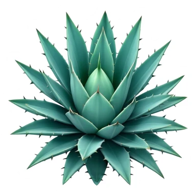 Cinematic Realistic Agave Emoji, Bold and spiky, with long, pointed leaves forming a rosette pattern. The sharp edges and soft blue-green hue exude a sense of rugged beauty and desert resilience. Soft glowing outline, capturing the essence of survival and strength in a striking agave plant! sticker