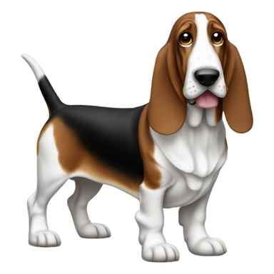 Basset hound sticker