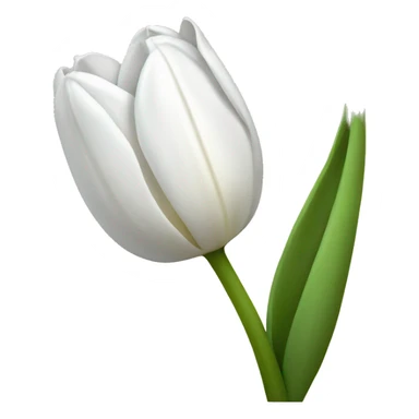 white tulip sticker