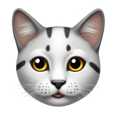 Gato blanco con parche negro en el rostro sticker