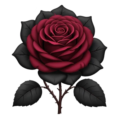 black rose, without green leaves, just flower sticker