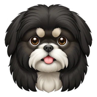 black Shih-Tzu sticker