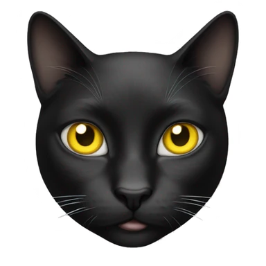 Black white cat with yellow eyes and patch over right eye sticker