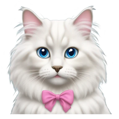white fluffy ragdoll cat with big blue eyes and a pink bow on its right ear sticker
