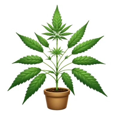 Cannabis sticker