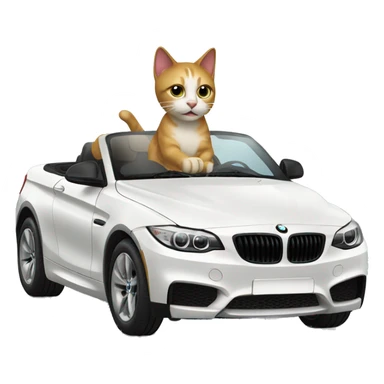 Cat driving  in a BMW-branded vehicle sticker