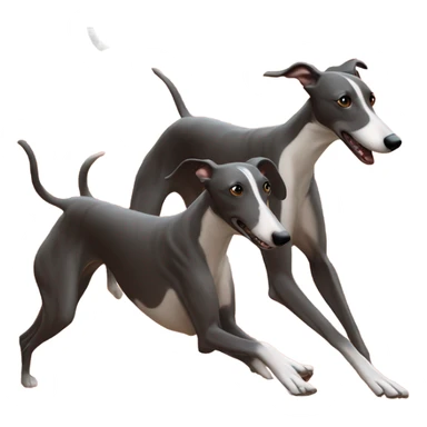 greyhound racing sticker