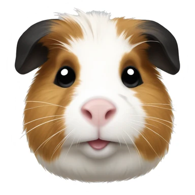 Guinea pig with black white and tan fur sticker