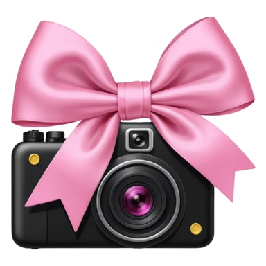 pink bow and camera sticker