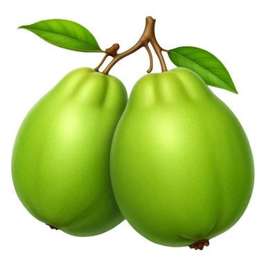 A whole green guava fruit with slight yellow tint sticker