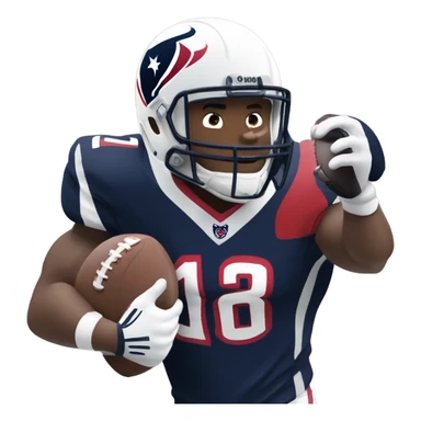 Houston Texans  sticker