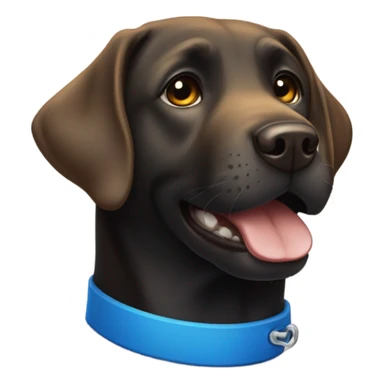 Black Labrador with a blue collar with his teeth put sticker