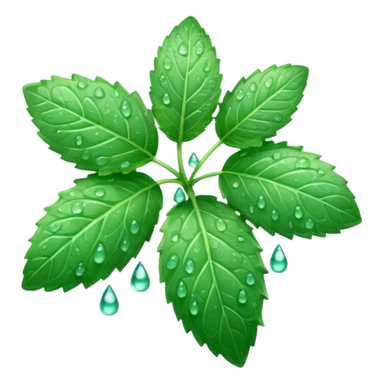 mint leaf with dew drops sticker